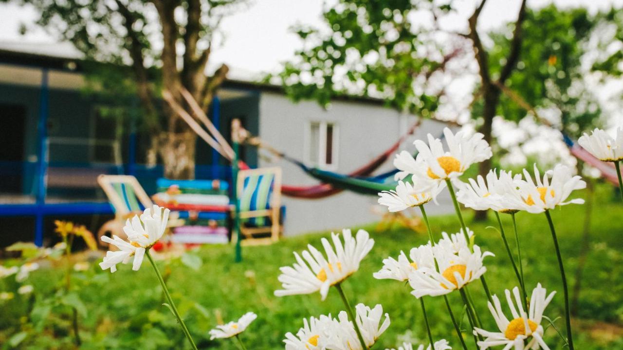Bebo Babu Guest House Κουτάισι Εξωτερικό φωτογραφία
