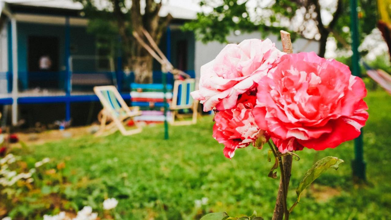 Bebo Babu Guest House Κουτάισι Εξωτερικό φωτογραφία
